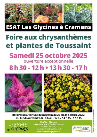 Foire aux chrysanthèmes et plantes de Toussaint