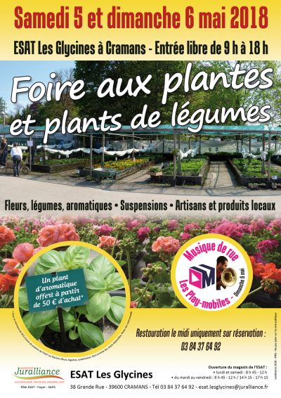 Grande vente de plants