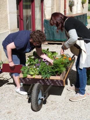 Grande vente de plants