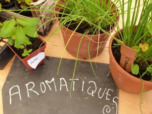 Jardin en fête à Arbois