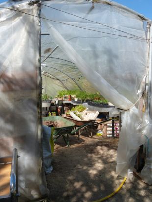 Jardin en fête à Arbois