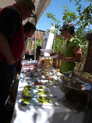 Jardin en fête à Arbois