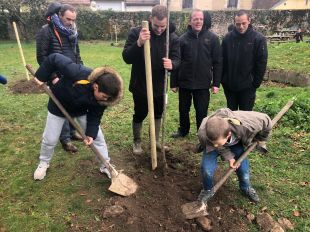 Opération "des Arbres pour Chez Nous" à la MECS de Poligny