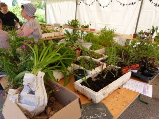 Jardin en fête à Arbois