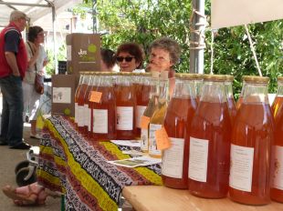 Jardin en fête à Arbois