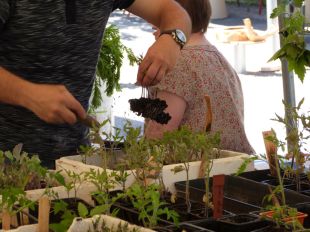 Jardin en fête à Arbois