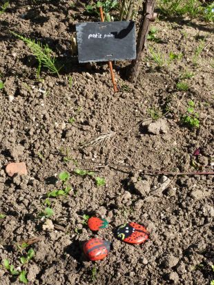 Jardin en fête à Arbois