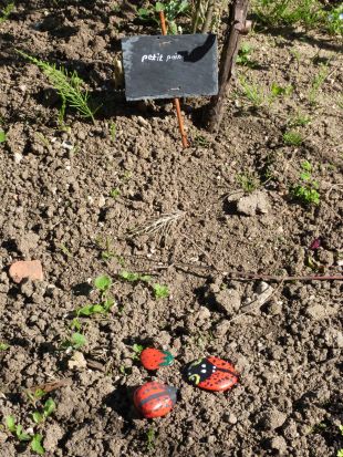 Jardin en fête à Arbois