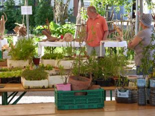 Jardin en fête à Arbois