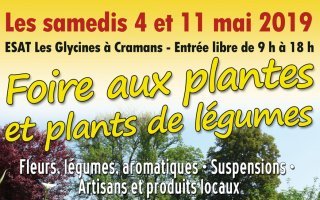 La foire aux plantes de Cramans continue !