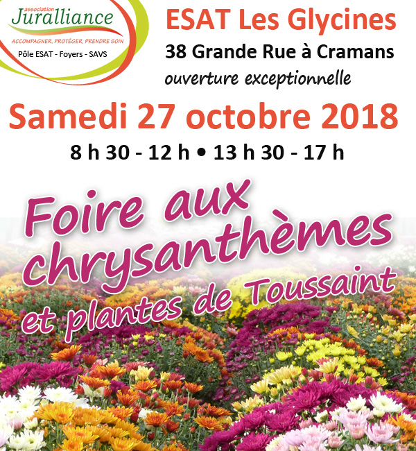 foire aux Chrysanthèmes et plantes de Toussaint